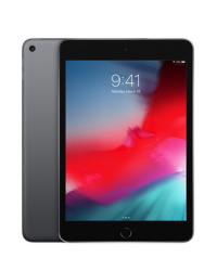 Apple iPad mini 2019 Wi-Fi + Cellular 256GB Gwiezdna szarość - zdjęcie 1