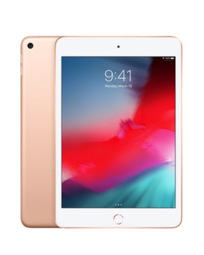 Apple iPad mini 2019 Wi-Fi + Cellular 256GB Złoty - zdjęcie 1