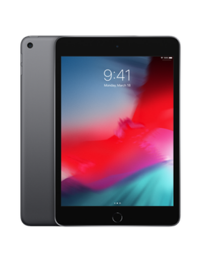 Apple iPad mini 2019 Wi-Fi + Cellular 256GB Gwiezdna szarość - zdjęcie 1